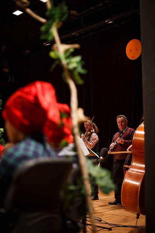 Baśnie Muzyczne w Filharmonii. Marysieńka i krasnoludki