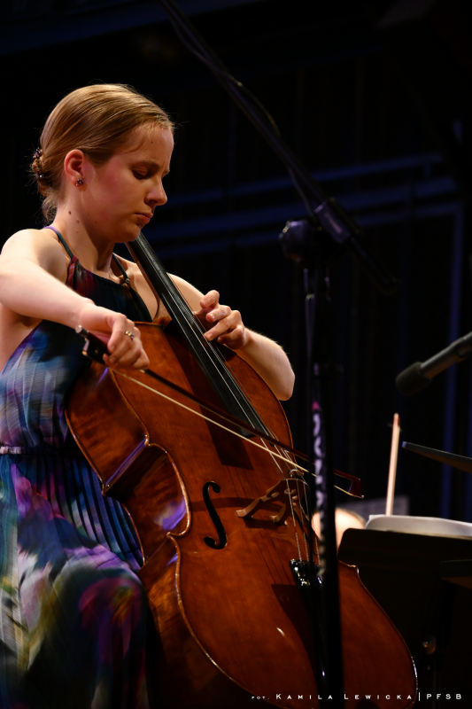 Barwna wiolonczela