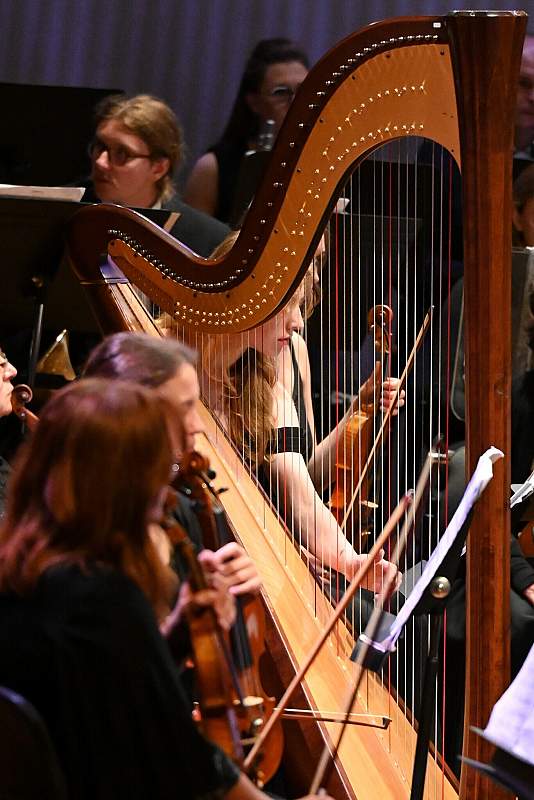 Fortepianowe ekspresje