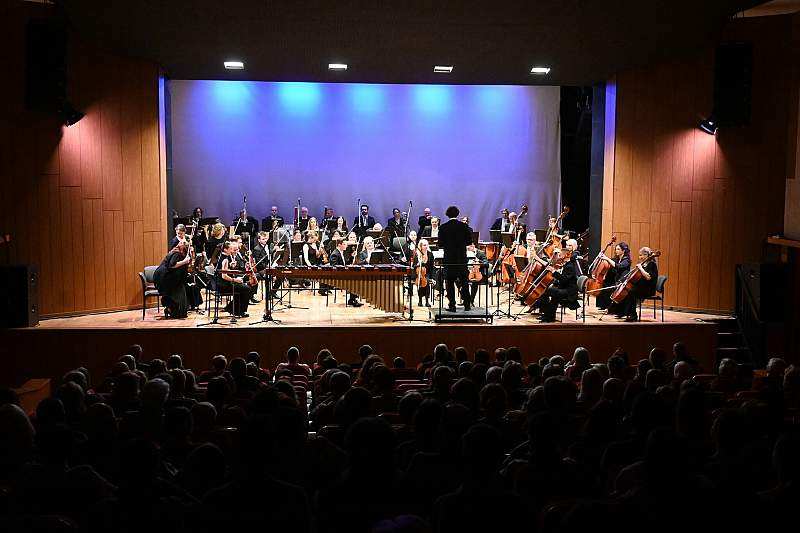 Marimba - dźwięki ukryte w sztabkach