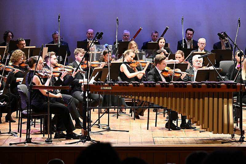 Marimba - dźwięki ukryte w sztabkach