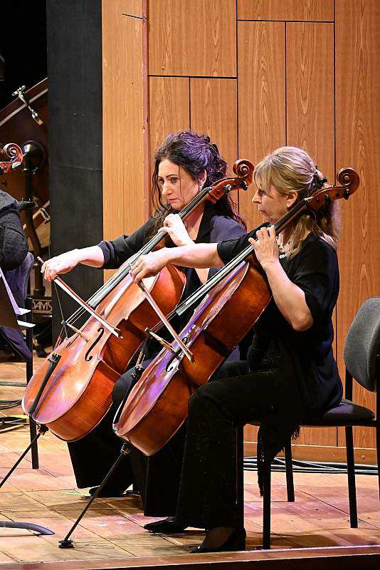 Marimba - dźwięki ukryte w sztabkach