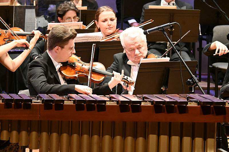 Marimba - dźwięki ukryte w sztabkach