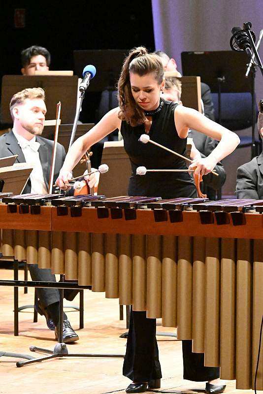 Marimba - dźwięki ukryte w sztabkach