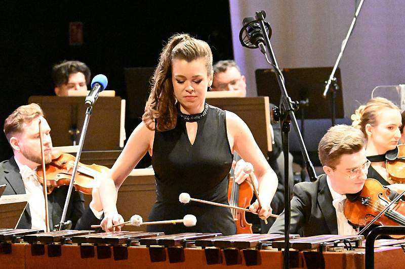 Marimba - dźwięki ukryte w sztabkach