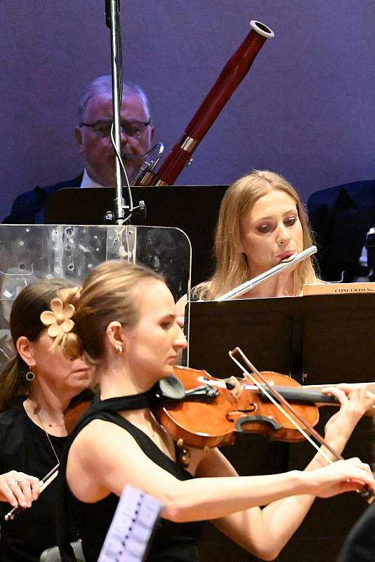 Marimba - dźwięki ukryte w sztabkach