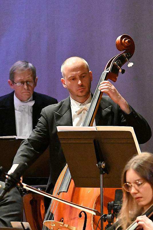 Marimba - dźwięki ukryte w sztabkach