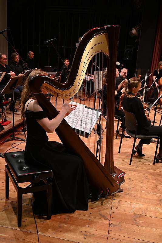 Koncert familijny "Odgłosy wiosny"